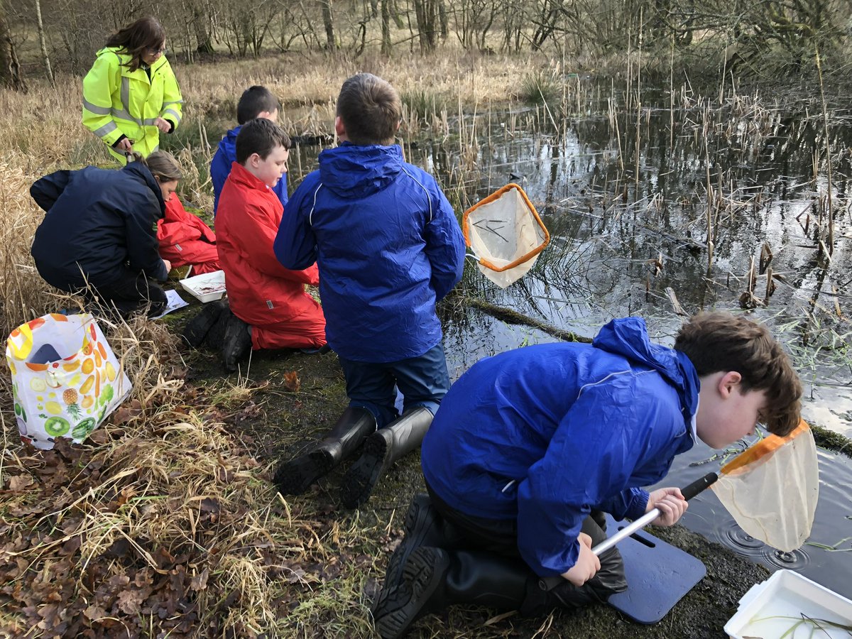 TheHiveStBen's tweet photo. The afternoon group pond dipping with Claire from Seven Lochs @TCVScotland great adventures #outdoorlearning  @StBenedictsPS @GlasgowNurture https://t.co/e59093sFfo