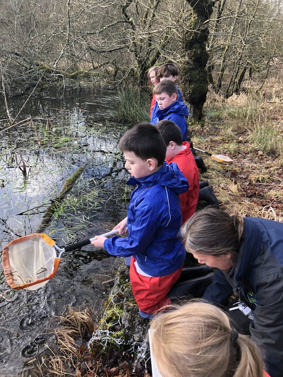 TheHiveStBen's tweet photo. The afternoon group pond dipping with Claire from Seven Lochs @TCVScotland great adventures #outdoorlearning  @StBenedictsPS @GlasgowNurture https://t.co/e59093sFfo