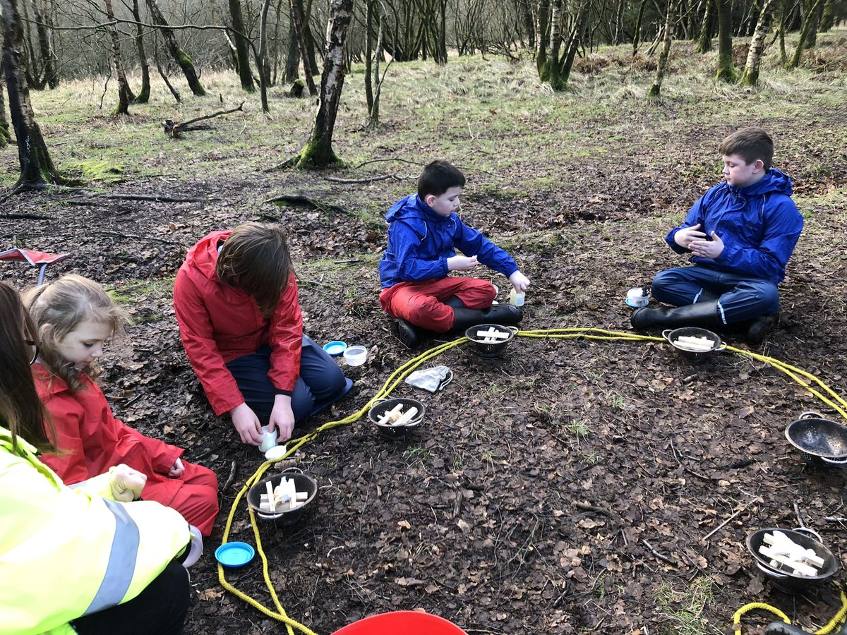 TheHiveStBen's tweet photo. The afternoon group pond dipping with Claire from Seven Lochs @TCVScotland great adventures #outdoorlearning  @StBenedictsPS @GlasgowNurture https://t.co/e59093sFfo