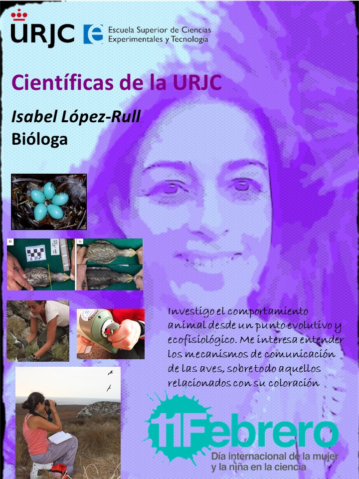 ESCET_URJC's tweet photo. Con motivo del 11F queremos contribuir a la visibilidad de la mujer en la ciencia dando a conocer algunas investigadoras de nuestra escuela en la URJC #11F #MujerYCiencia https://t.co/A4adX7UU01