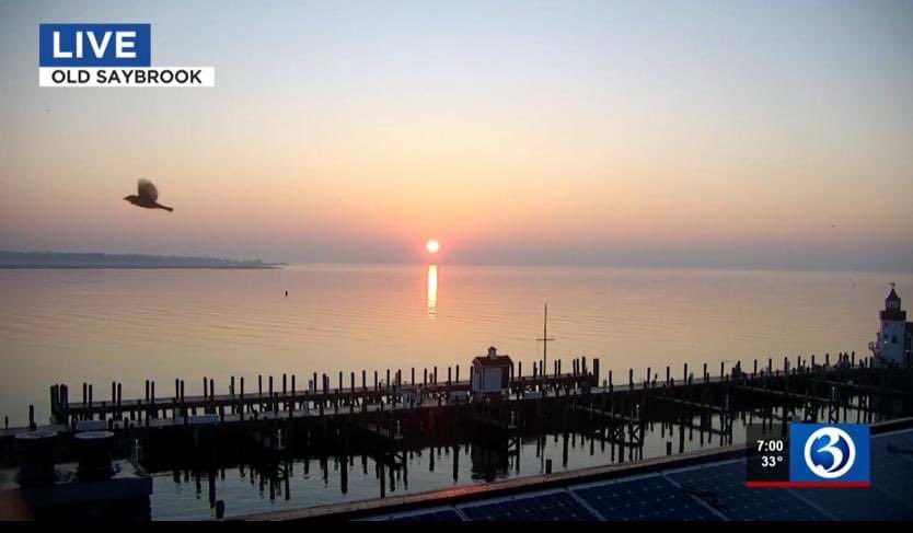 NicoleNalepaTV's tweet photo. WOW. This is our #iCam in #OLDSAYBROOK this A.M. You wouldn't know the icy issues we're dealing w/throughout the state from this view..
(...but maybe the bird does. He's getting out of dodge!) ๐ฆ
#staysafe #drivesafely #weatheron3 #CTwx #CTweather #WFSBtraffic #WFSBthisAM #WFSB https://t.co/2R6cwUA71s