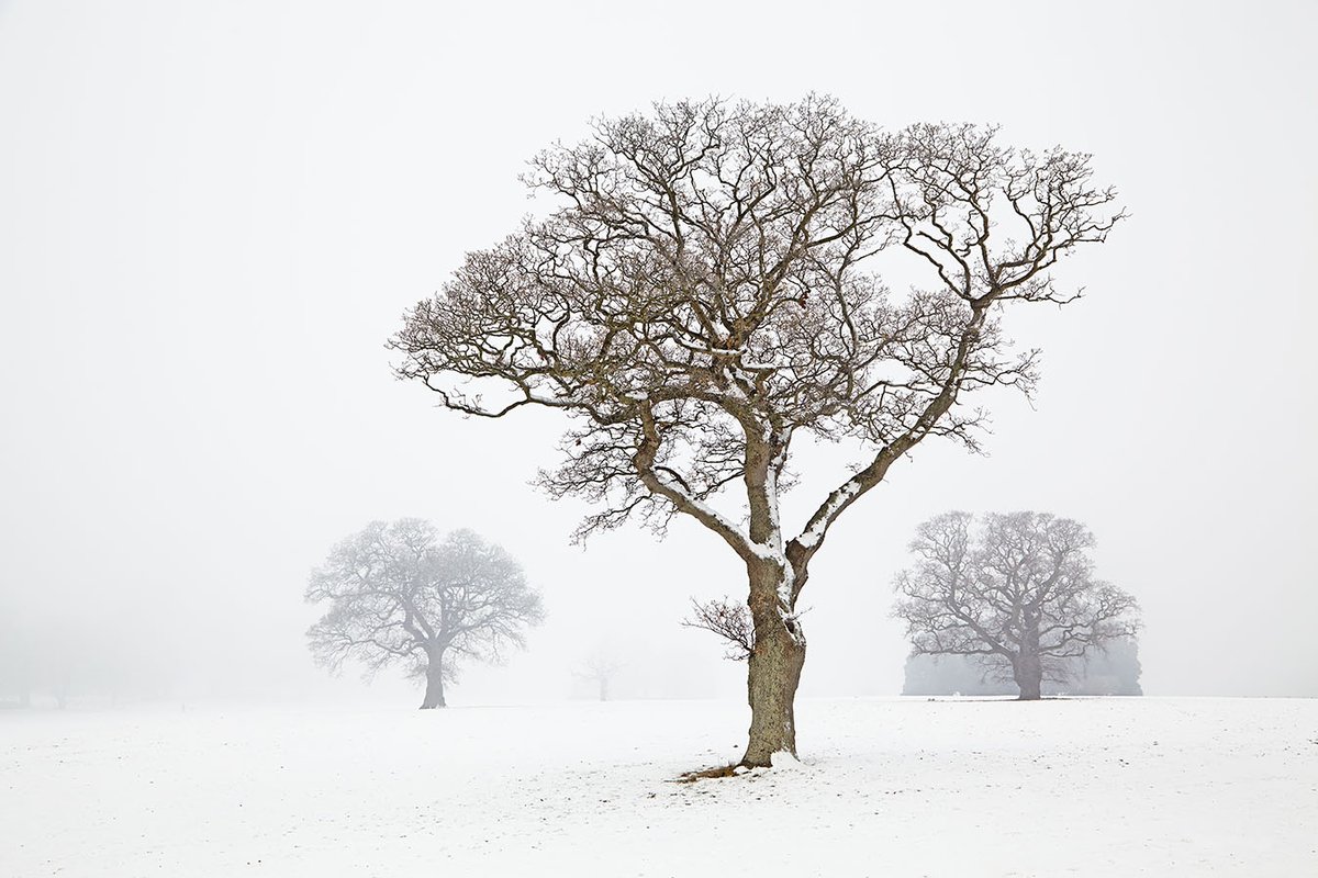 Nigel Hicks photography and writing tweet media