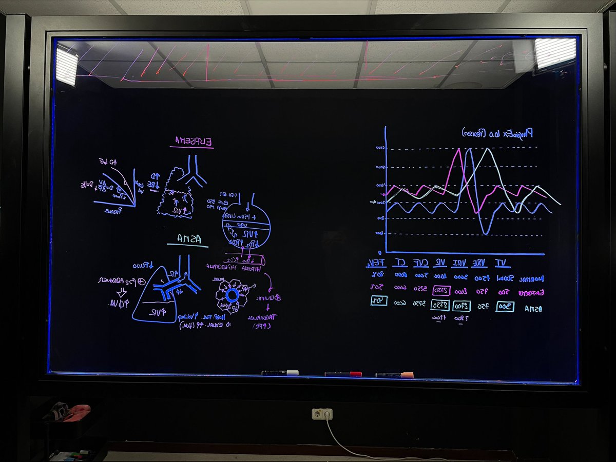 A la belleza de enseñar fisiología solo le supera la propia fisiología. 
Próximamente en La Pizarra de Noe (YouTube) "Asma vs Enfisema"