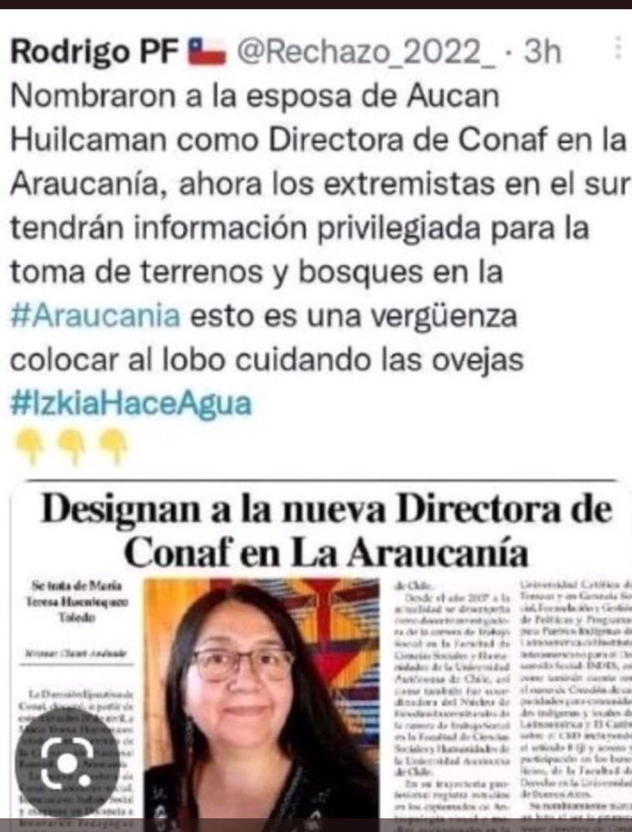 carmen muller (@carmen_e_muller) on Twitter photo 