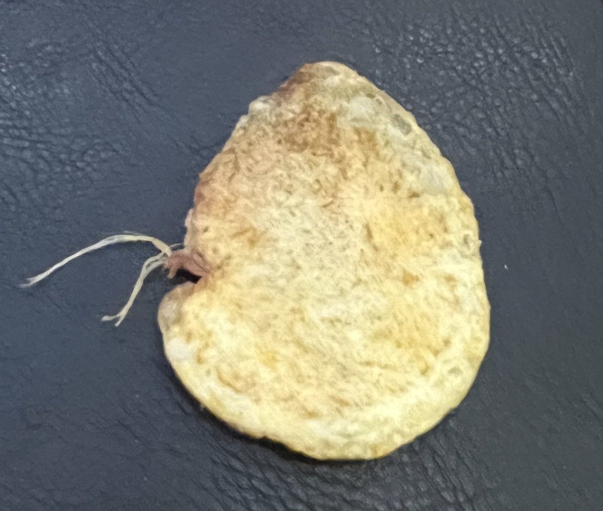 PhilHathway's tweet photo. My crisp looks like it’s been infected like in @TheLastofUsTV @TheLastofUsNews https://t.co/IVezfnzRaM