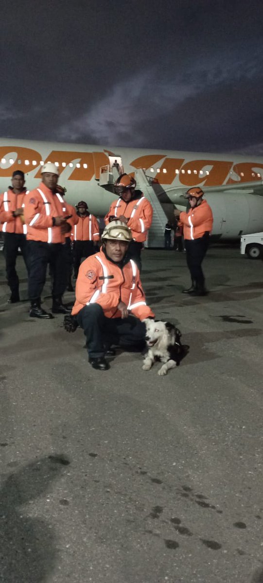 aproavzla's tweet photo. Perros rescatistas venezolanos y sus entrenadores viajan a #Turquía para colaborar en los salvamentos. El entrenador Jorge Beens y su experta perra Sumani, junto a 5 perros acuden a colaborar. Llevan 100 kilos de perrarina donada por 
@aproavzla
#Terremoto #heroesalrescate https://t.co/XPSMFfzRG2