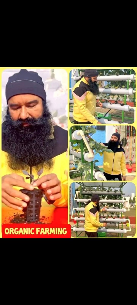 KaliCha01514843's tweet image. #OrganicFarming                                     #AdvancedFarming Many tips Shared by #SaintDrGurmeetRamRahimSinghJi