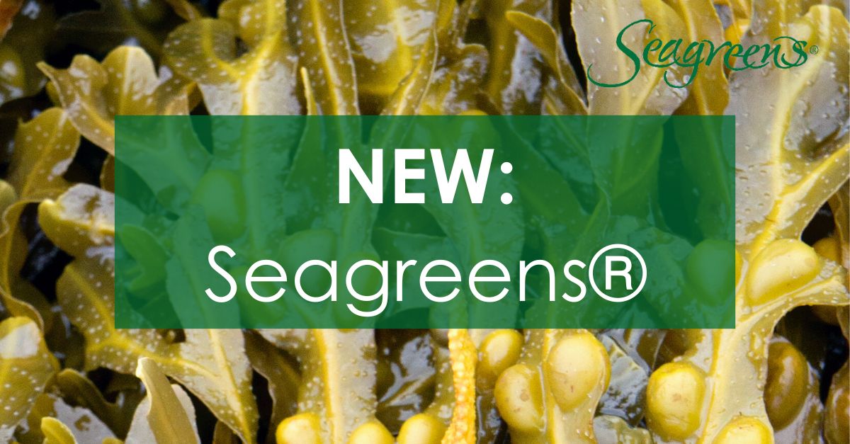 If you've been looking to add nutrient density and health benefits to your products, look no further...🌿

Seagreens® Ascophyllum Fine Granules are rich in minerals, trace elements and other micronutrients.

Read our blog to learn more: bit.ly/3khRHSZ! <a href="/Seagreensonline/">Seagreens</a>