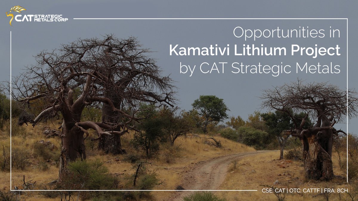CatStrategic's tweet photo. $CAT's Kamativi project is shaping up:

▶️ Simple metallurgical recovery process
▶️ Reduced brownfield capital costs
▶️ Tin and tantalum mineralization potential
▶️ Experienced metallurgical and mining
team

Learn more: https://t.co/oYCGSGDBVQ

#CSE #OTC $CATTF #FRA $8CH https://t.co/UrifGpXMNv