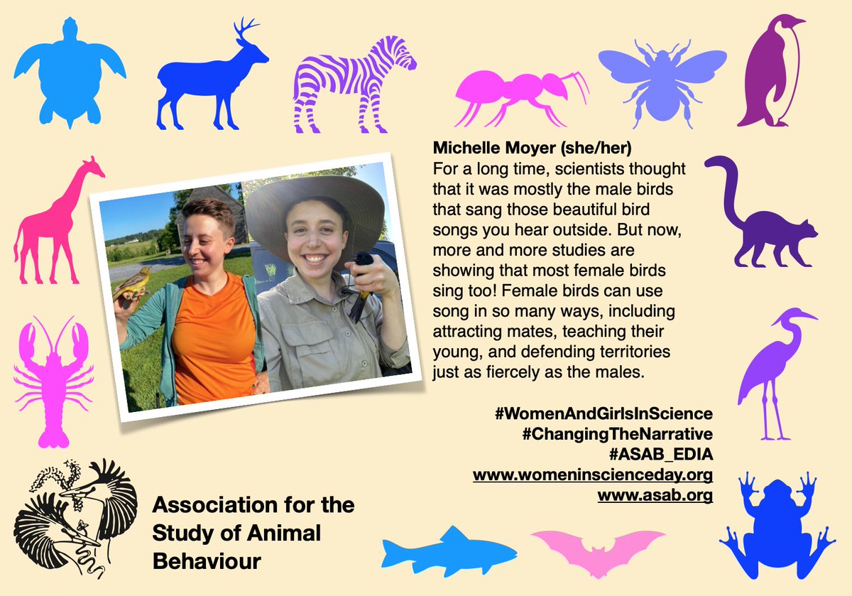 This is @ornithmmoyer Michelle, a Ph.D candidate <a href="/UMBC/">UMBC</a>, studies female song in Orchard Orioles, a temperate migratory species in the Central/Eastern US, and Puerto Rican Orioles, a tropical species found only in Puerto Rico! #WomenAndGirlsInScience #ASAB_EDIA