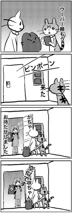 #いわねこ
204 