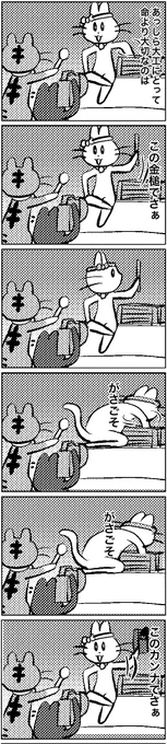 #いわねこ
206 