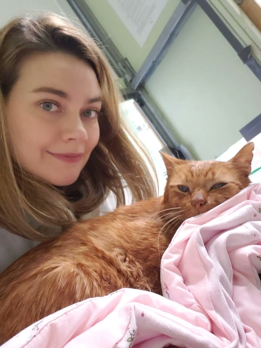 Sandra Repar BLM on Twitter "RT MtlARN Our littlest Donut is starting to feel better around