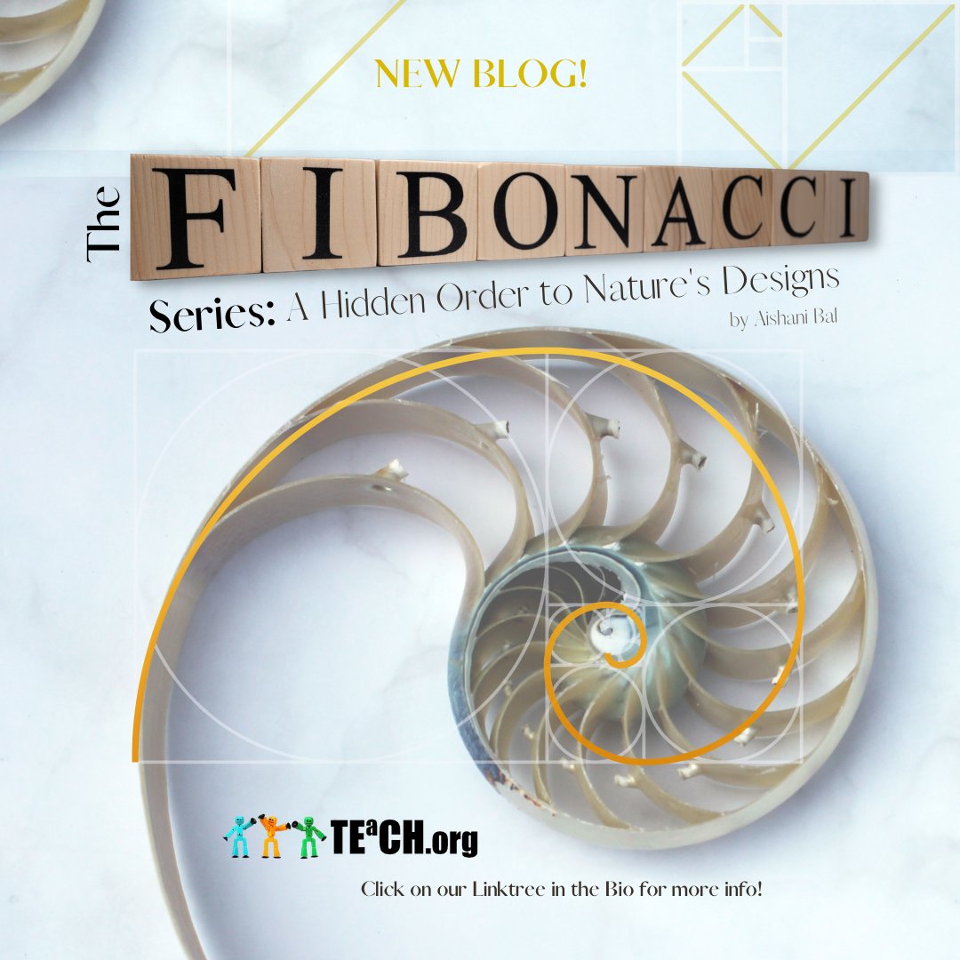 teachtechorg's tweet image. We just released a new blog, “The Fibonacci Series: A Hidden Order to Nature's Designs” Check it out here: bit.ly/3Ydqnoc! What is your favorite design in nature?

#teachtech #atlantatech #technology #fibonacci #nature #designs #GoldenRatio #divineproportion