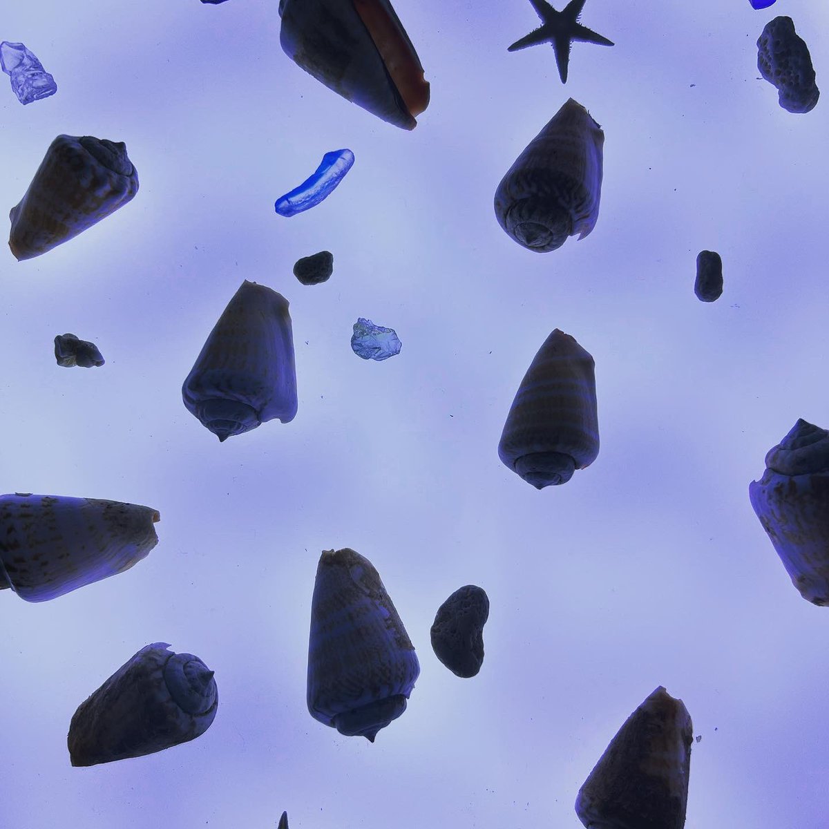 villa_muse's tweet image. #古宇利オーシャンタワー　
#Shellmuseum
#okinawa