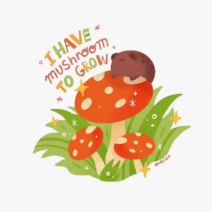 toaday we grow 