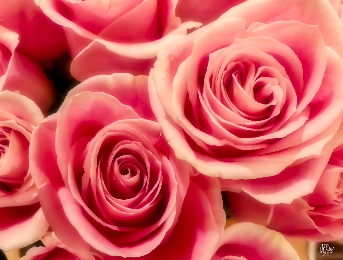 latreborcm's tweet image. Good morning… Bon matin☕️
My piece “From Me To Me” is now available on @objktcom for the #tezos February event ⤵️
#MyOneAndOnly #LoveThyself