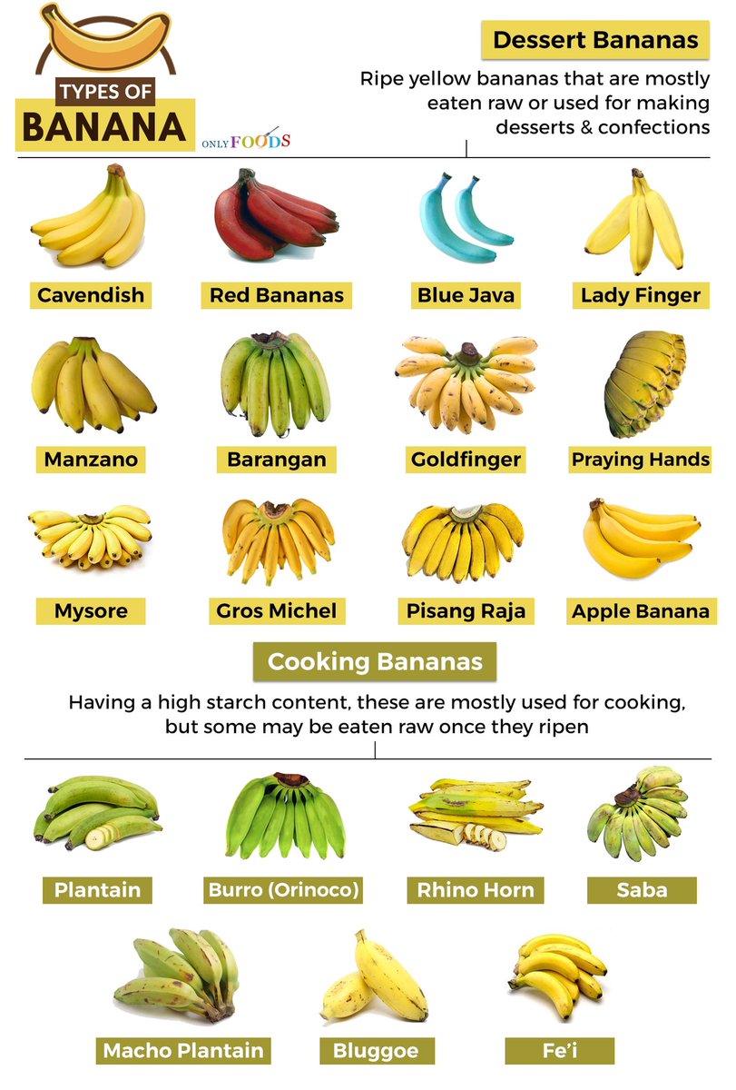 XRPGUY5's tweet photo. @BornAKang He’s technically correct, a plantain is another type of banana. https://t.co/7kR6povrW4