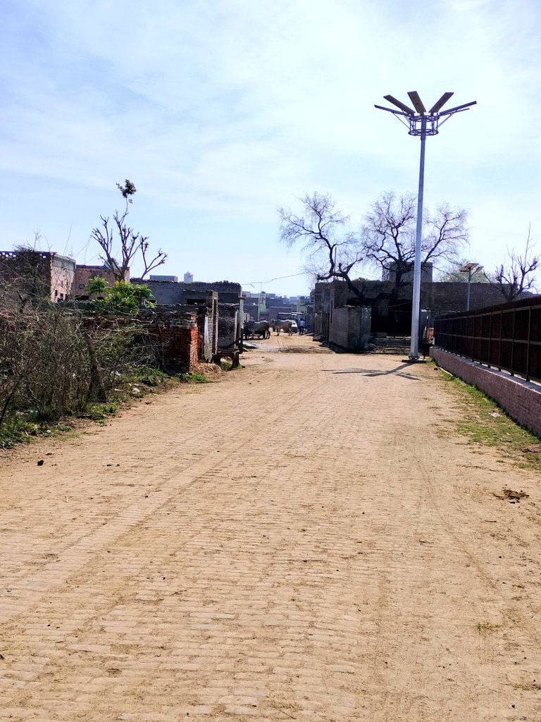 Streets of Rakhigarhi ☺️☺️

#rakhigarhi #excavations #archaeology #archaeologylife