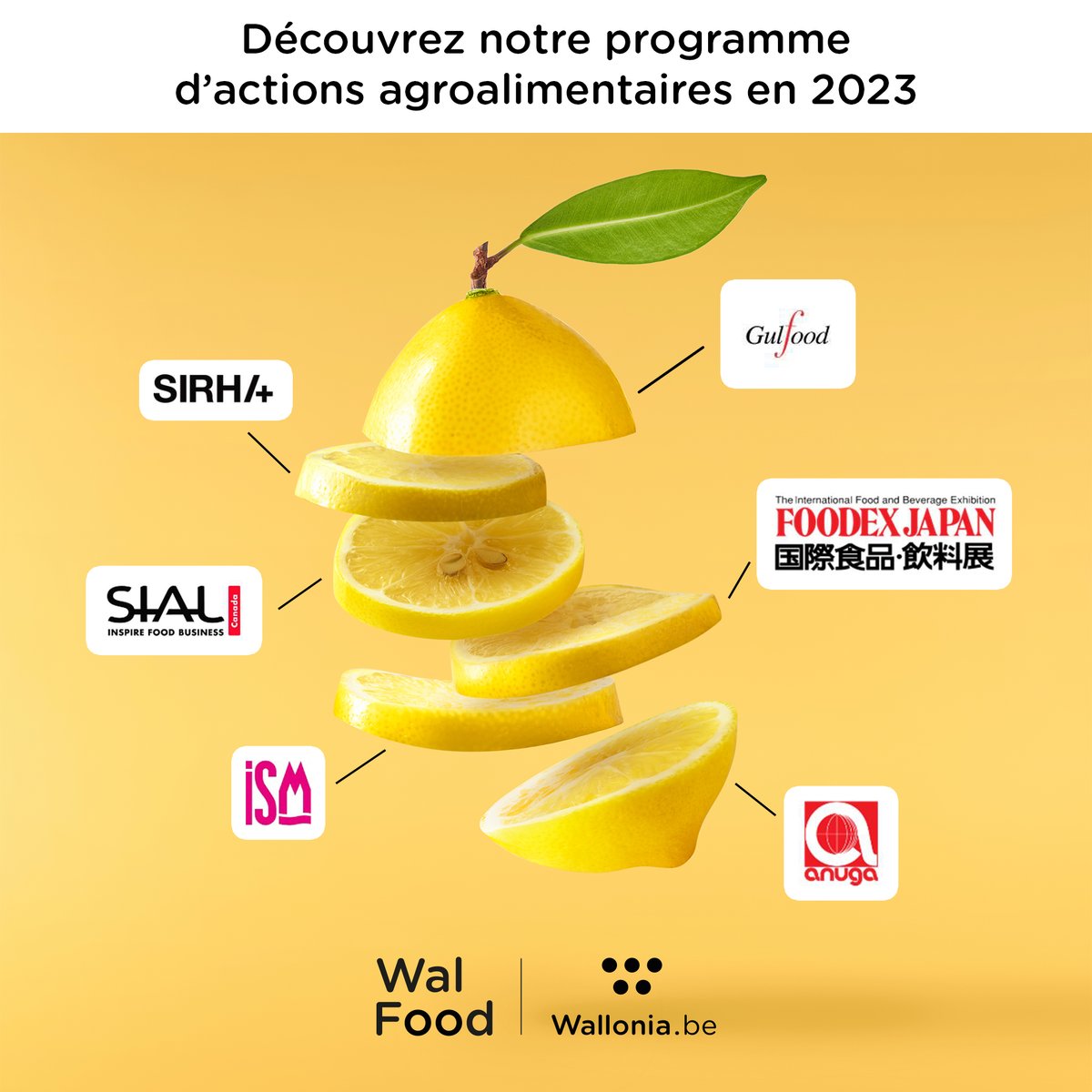 📢 A vos agendas ! L'#AWEX propose pour 2023 un programme d’actions agroalimentaires ambitieux avec pas moins de 27 actions de promotion et de prospection commerciale !
➡️ bit.ly/3XcYhbm
#awex #walfood #wallonie #food #agroalimentaire #agrobusiness