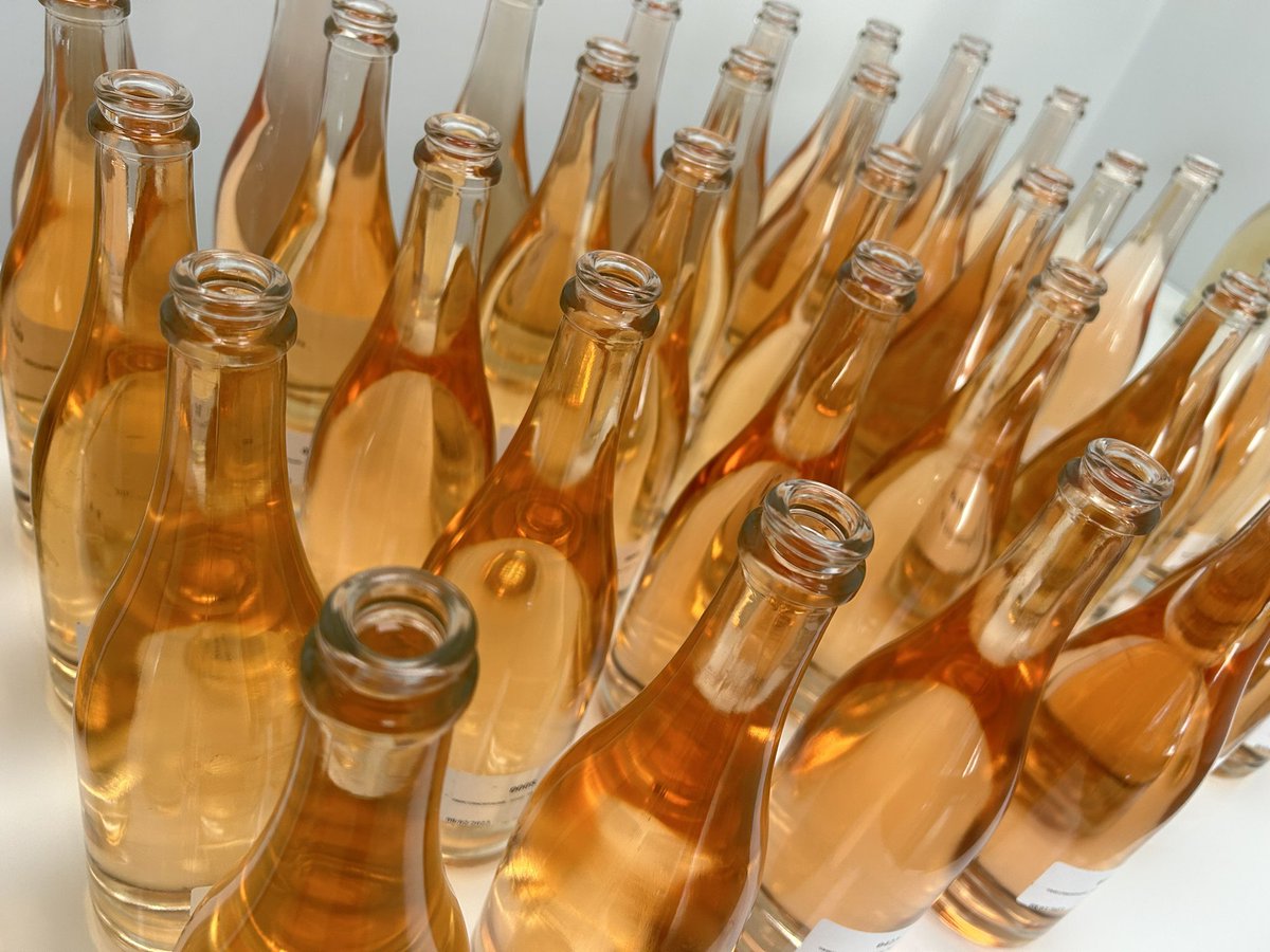LouisRoederer_'s tweet photo. Last Vins Clairs 2022 week! Final selection of our best plots from our “La Montagne” domaine: the powerful “Verzenay”, the chalky “Verzy” & the intense “Beaumont-sur-Vesle” are all “on stage” for #CristalChampagne & #Vintage #Domaine #Vintage2022 #InPursuitofTaste -JBL https://t.co/sv29KrcwVL