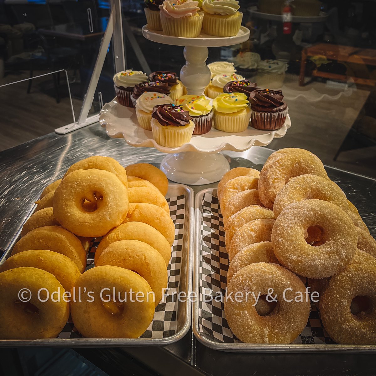 OdellsGF's tweet photo. We must have a fever π DONUTS ON A WEDNESDAY
#GlutenFree #Odellsgf #Halifax #HRM #HalifaxNoiseFood #Novascotia #Bakery https://t.co/CGjPr0IICw