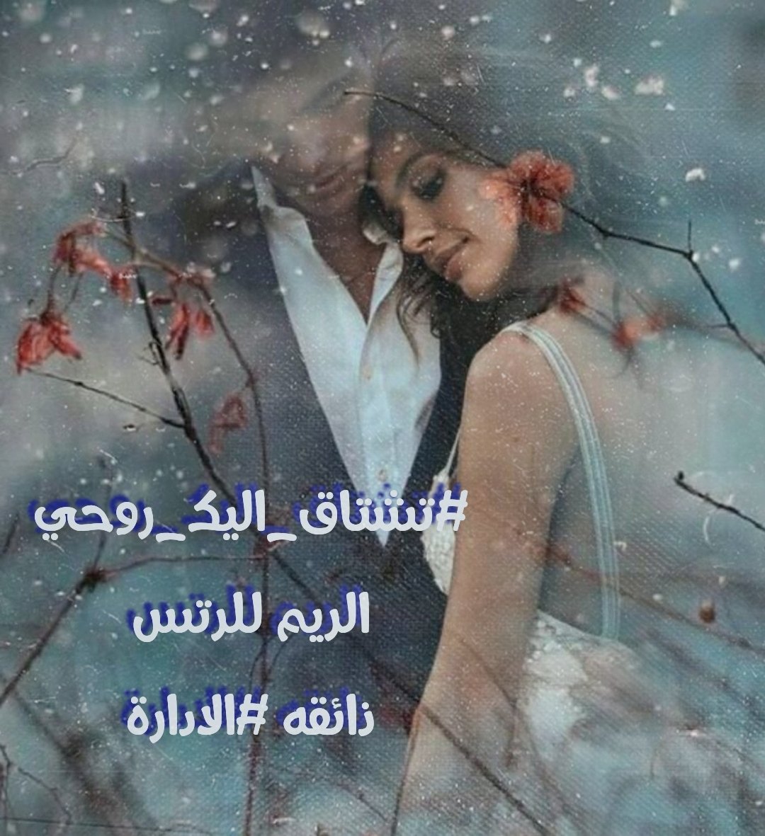 Tweet media one