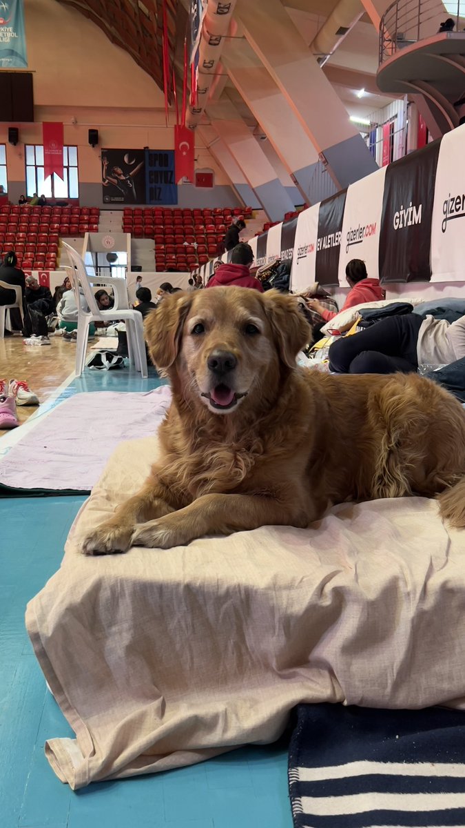 İsmi Gida imiş. Şimdi ailesiyle tanıştım. Fenomen oldun dedim. Sizlere poz verdi. #adana #deprem