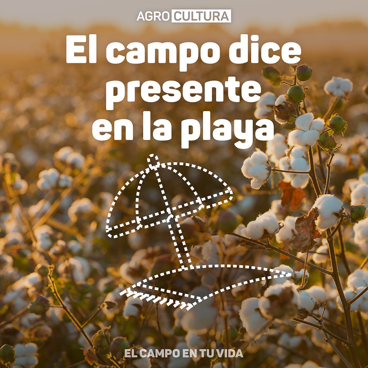 redmrurales's tweet photo. En esos ítems imprescindibles del verano, ahí también hay agricultura. ¿Te animás a pensar en qué está presente el campo durante tus vacaciones? 👉 https://t.co/XIjCS9TOGz 
#Agrocultura #ElCampoEnTuVida https://t.co/uAjyks3wkm