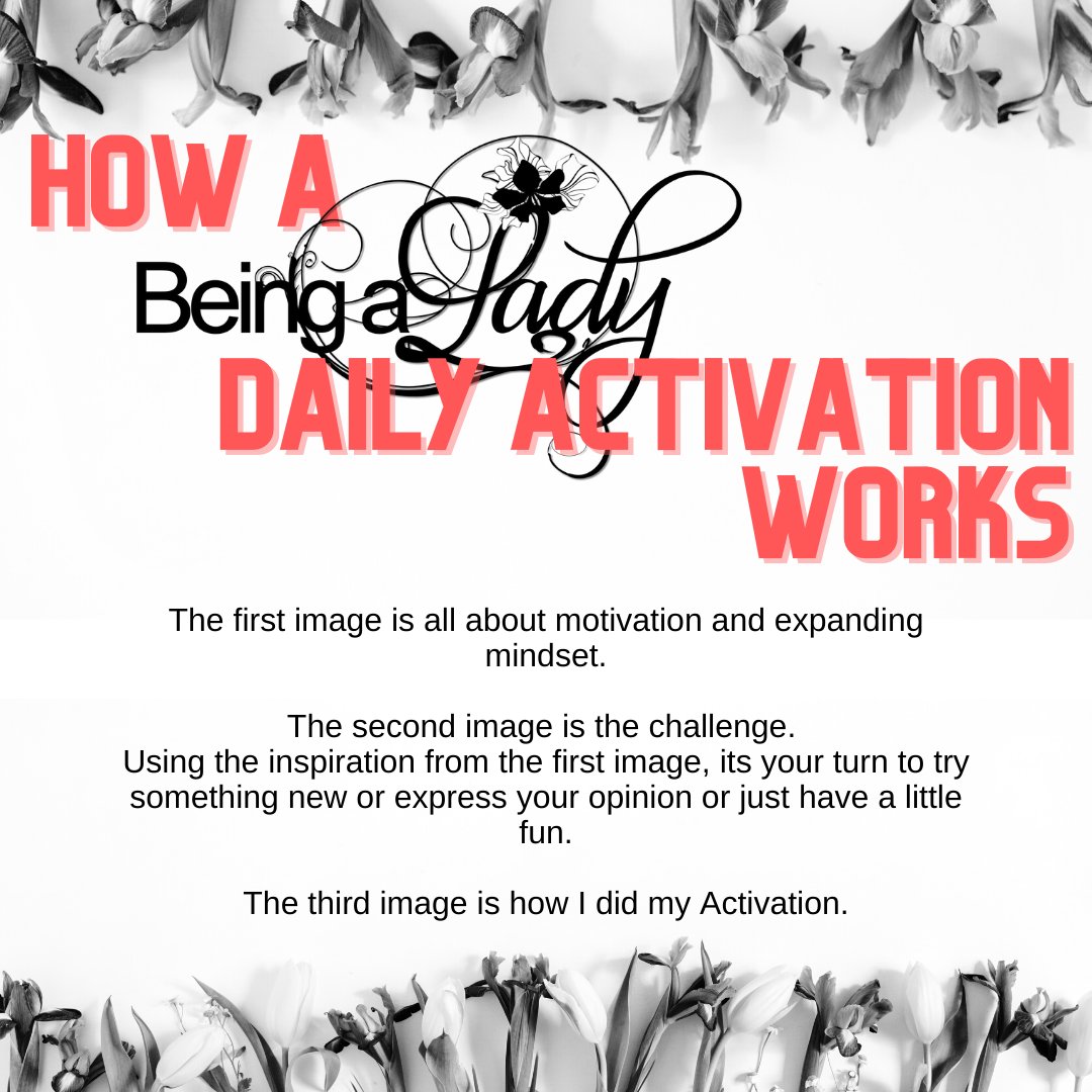 Follow us on Instagram and TikTok @beingalady_daily and use our hashtags #beingalady #dailyactivation to join in!