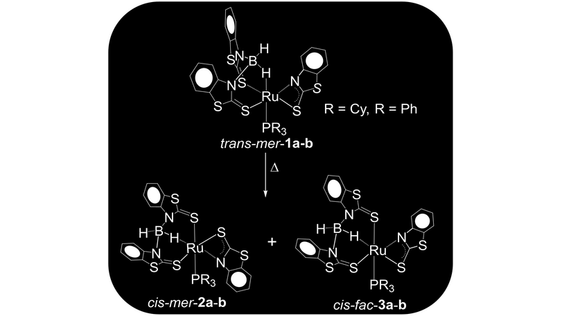 EurJOC (@eurjoc) on Twitter photo Syntheses and Structures of Facial and Meridional Stereoisomers of k2-N,S-Chelated Ruthenium Borate Complexes by Sundargopal Ghosh and co-workers onlinelibrary.wiley.com/doi/10.1002/ej… Syntheses and Structures of Facial and Meridional Stereoisomers of k2-N,S-Chelated Ruthenium Borate Complexes by Sundargopal Ghosh and co-workers onlinelibrary.wiley.com/doi/10.1002/ej…