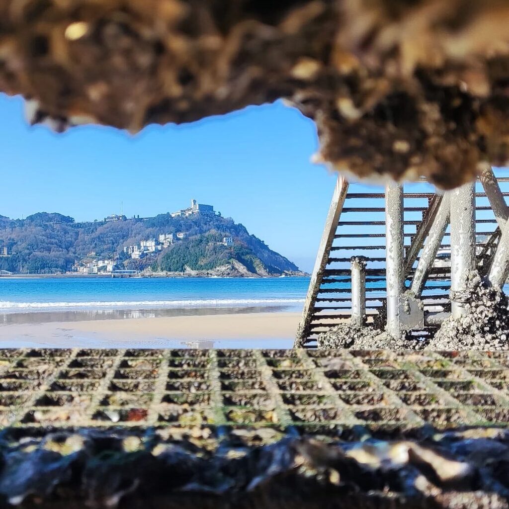 ¡Qué baja está la marea!!! 😱😱😱

#donostia #dansebastian #mar #bahiadelaconcha #igeldo #monteigeldo instagr.am/p/CoZqlAZt7bt/