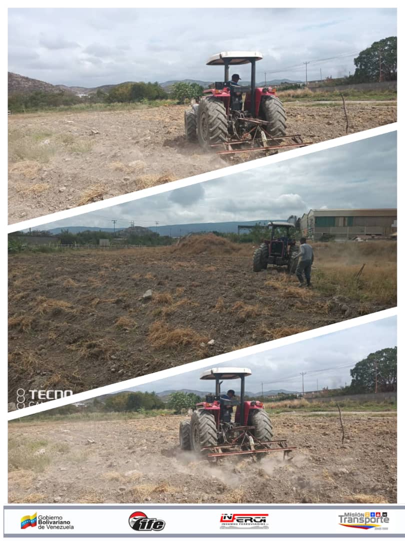 INFERCAc_a's tweet photo. En los espacios de #INFERCA, Primera Siembra de este nuevo año Productivo 2023.
El día de ayer, #07Feb, se empezó a preparar la tierra para establecer una producción agro ecológica con 200 Plantas de Cambur, Caraotas, Maíz Amarillo y Cilantro. https://t.co/bySv8lgs7M