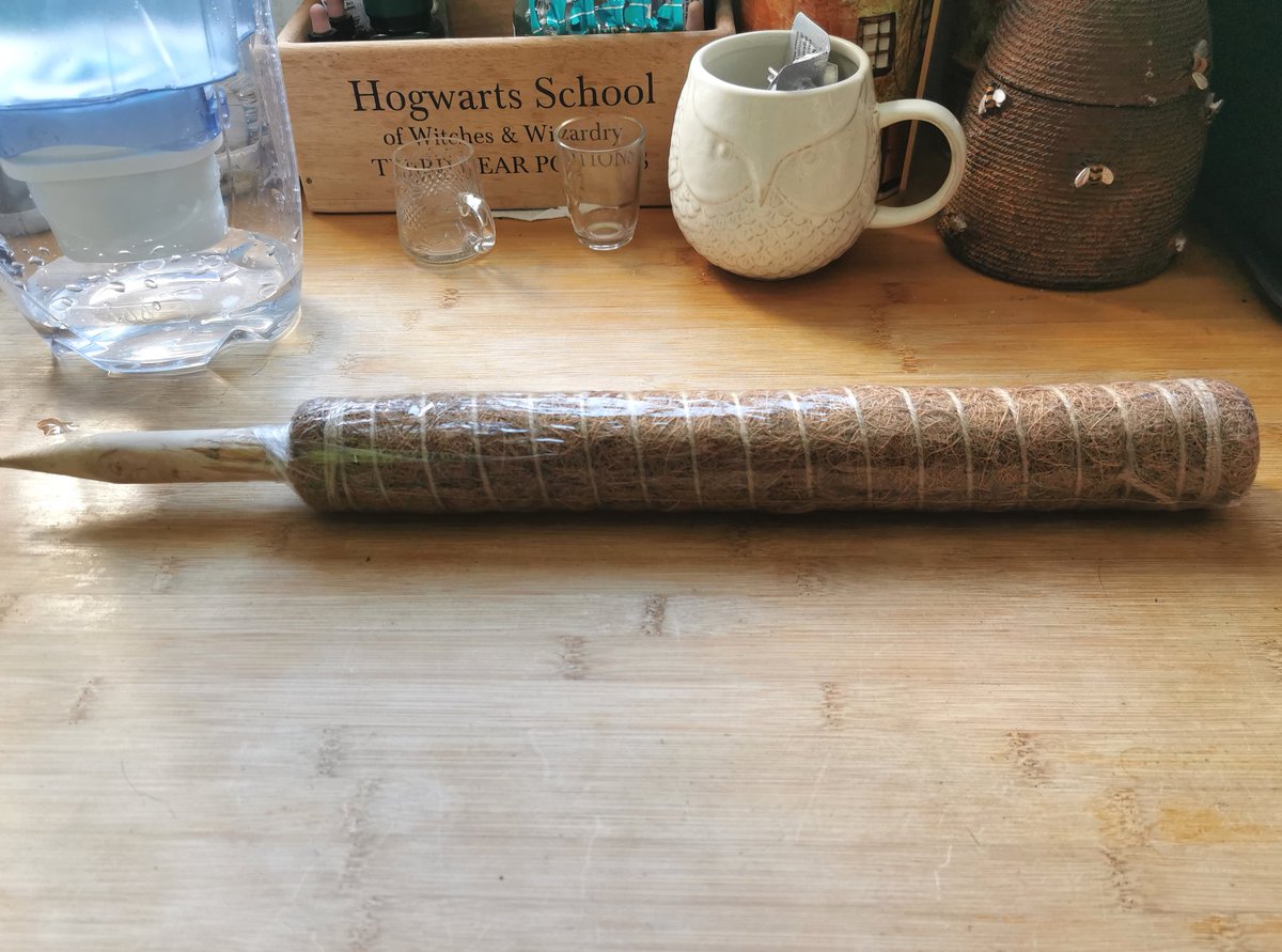 ShoppeKeeperCat's tweet photo. When your postman asks if you have been having problems with Vampires! 🧛🏻 (It is an extension for a house plant pole 😂). Have to laugh ! 
#hookland #vampiresoftwitter https://t.co/eWg2q6cukZ