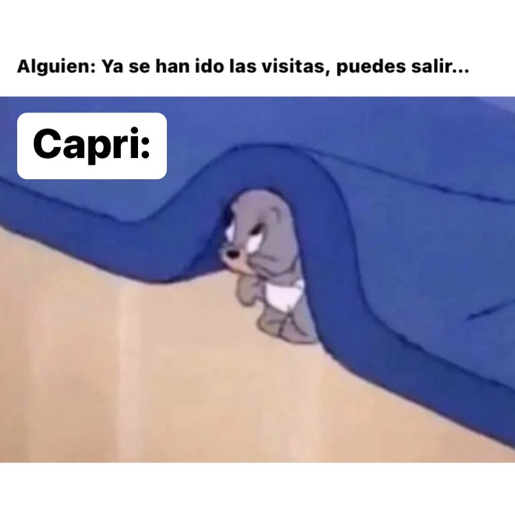 capricornio_hn's tweet photo. 🤣🤣🤣 #capricornio #horoscoponegro https://t.co/BpTPcqTxHB