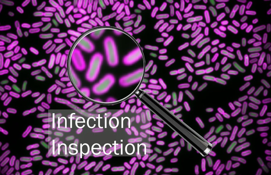 Nuffield Department of Medicine (@ndmoxford) on Twitter photo Want to help develop a faster test for #antimicrobial resistance? The <a href="/InfectInspect/">Infection Inspection</a> #citizenscience project from <a href="/ModMedMicro/">ModMedMicro</a>, hosted on @The_Zooniverse, allows you to look inside bacteria treated with antibiotics.
Find out more 🔬 🧫 zooniverse.org/projects/conor…
<a href="/OxfordBRC/">NIHR Oxford Biomedical Research Centre</a> #AMR Want to help develop a faster test for #antimicrobial resistance? The <a href="/InfectInspect/">Infection Inspection</a> #citizenscience project from <a href="/ModMedMicro/">ModMedMicro</a>, hosted on @The_Zooniverse, allows you to look inside bacteria treated with antibiotics.
Find out more 🔬 🧫 zooniverse.org/projects/conor…
<a href="/OxfordBRC/">NIHR Oxford Biomedical Research Centre</a> #AMR