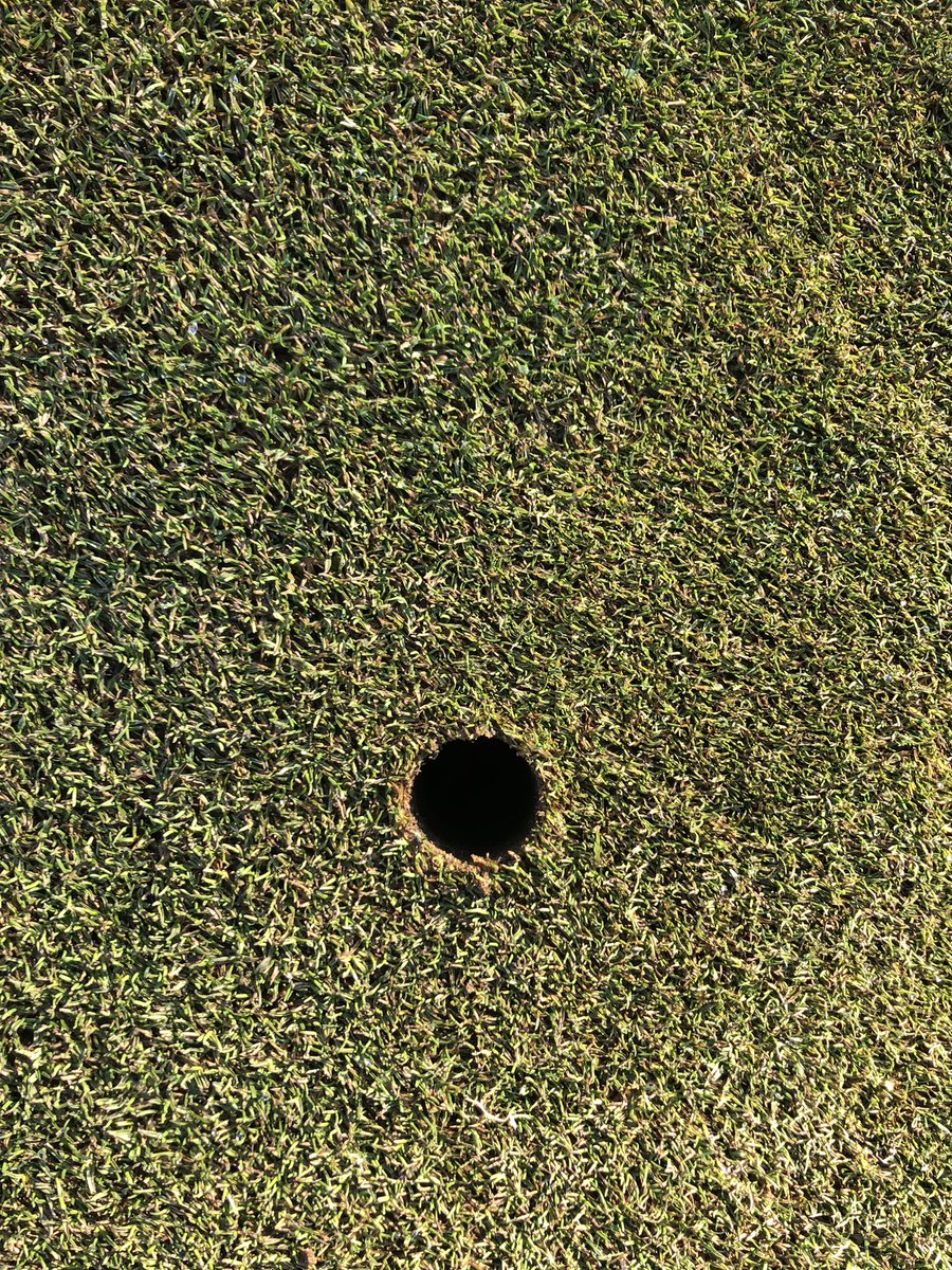 leeacox's tweet photo. Nice to catch up and talk turf & soil science with @mike_amenity @AgrovistaAMNTY look forward to the results of soil samples ๐โณ๏ธ #wearedry https://t.co/YVpH1TYLE0
