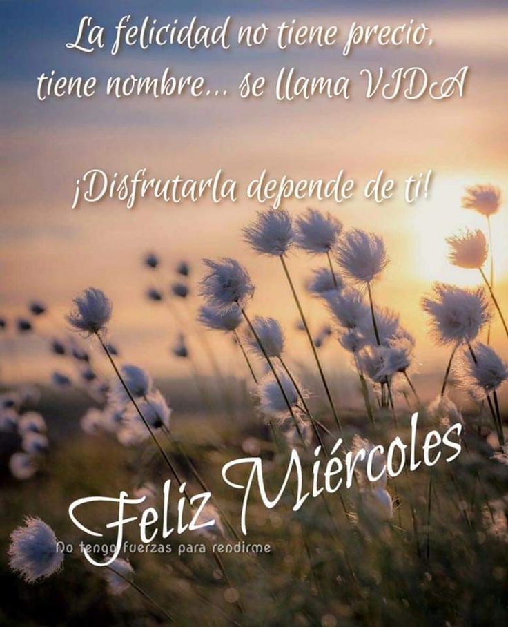 #PatriaGrandeEsCaribe
Buenos Dias🤗 
@poderdigital812 @patriona57 @poderdigital813 @patriona52
@nesyhu2 @cpmarp21 @puri603 @Solecito19011 @ludwing_hans @solylexis @flor1730 @car1730 @paz1730 @nancho0769 @reynalith1 @Mile93_ @Soyyolit2 @dash_help1 @carmela_lucena @Carolin47292492