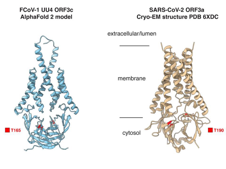 Beth Licitra tweet media