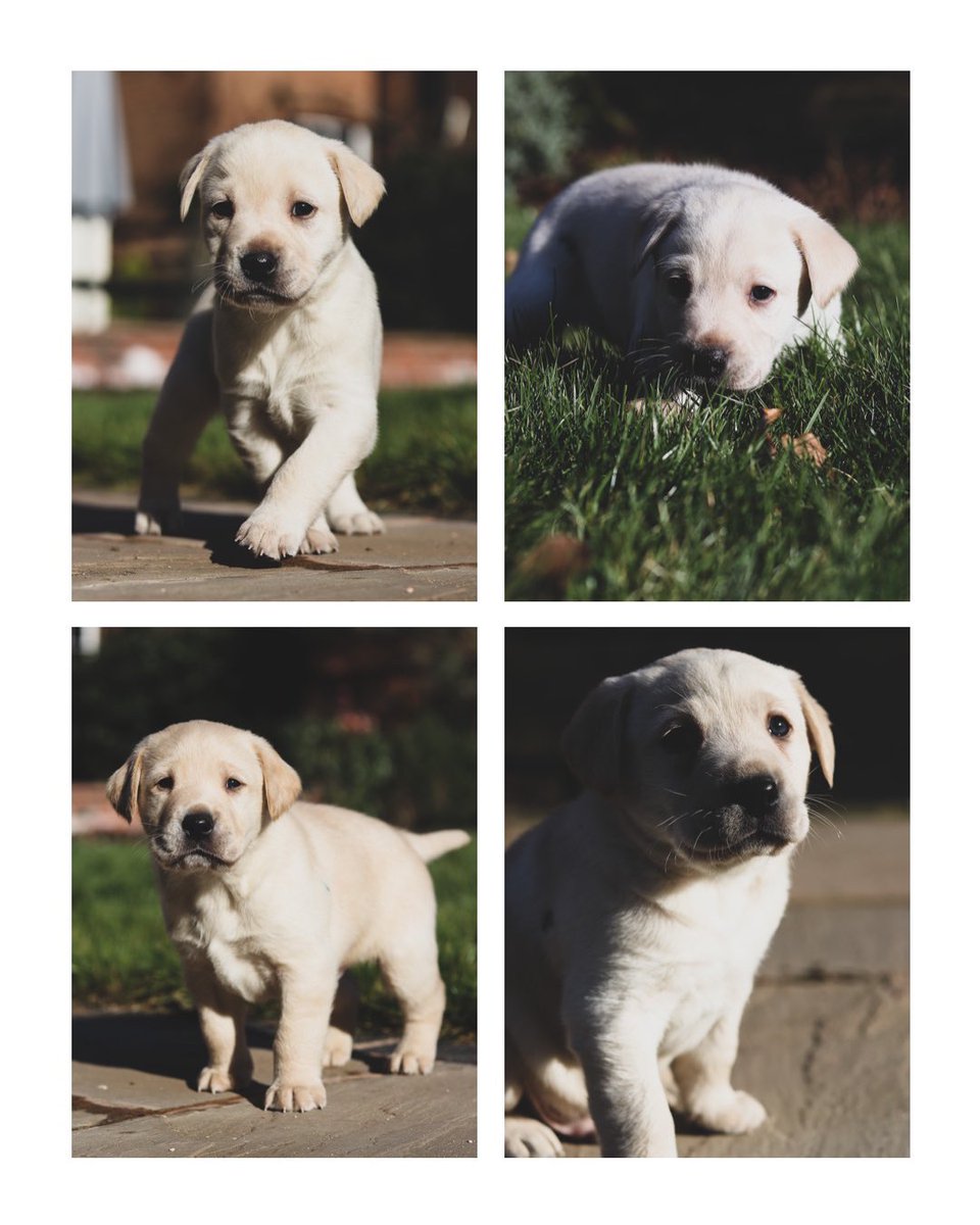 Jim Parsons tweet media