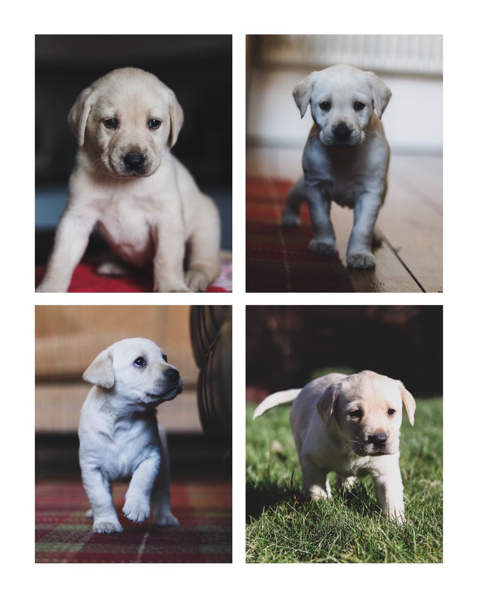 Jim Parsons tweet media