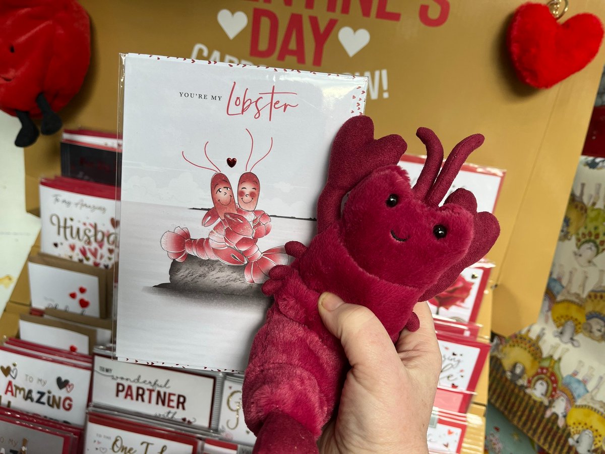 CoolInSkipton's tweet photo. Looking for some Valentine gift ideas? Have a look at these Card and Jellycat combinations. So cute!

 #shopskipton #jellycats #coolgifts #jellycat #jellycatsskipton #skiptonjellycats  #valentinesdaygift  #ValentinesDay2023 https://t.co/fC3FJyHfKj