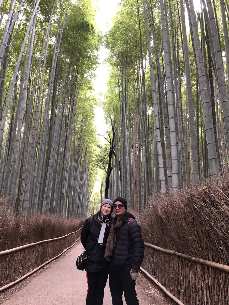 OmakaseTour's tweet photo. Experience the beauty of Kyoto with us! ๐ฅฐ Our recent tour was filled with moments to remember, from walking amidst the bamboo trees in Arashiyama to savoring the city's best street food ๐๐ข๐ฆ #kyoto #arashiyama #kyotoguide #kyototour https://t.co/lXQrwo3HyJ