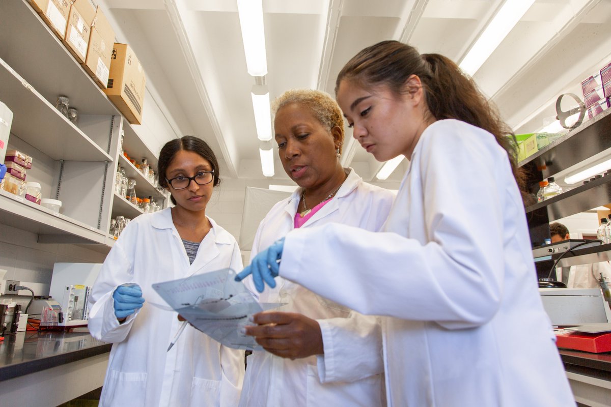 CIHR_IRSC's tweet photo. Calling all #WomenInScience! 👩🔬
February 11 is #InternationalDayofWomenAndGirlsInScience and we want to celebrate you!
All week we’ll be sharing #HealthResearchExplained stories featuring amazing women who continue to break barriers in #STEM. https://t.co/F0gHs0GmaR
