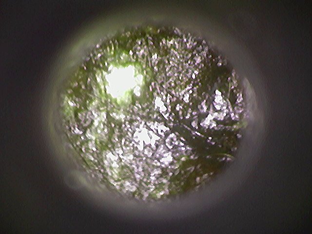 HC_PinnaClear's tweet photo. Ever wondered what a normal eardrum looks like? Around this time many people feel blocked and quite often it isn't wax but fluid build-up behind the eardrum. Steam and a nasal spray can help. #hearing #syringing #mcr #trafford #microsuction #pinnaclear #Health https://t.co/22Y9wczYBl