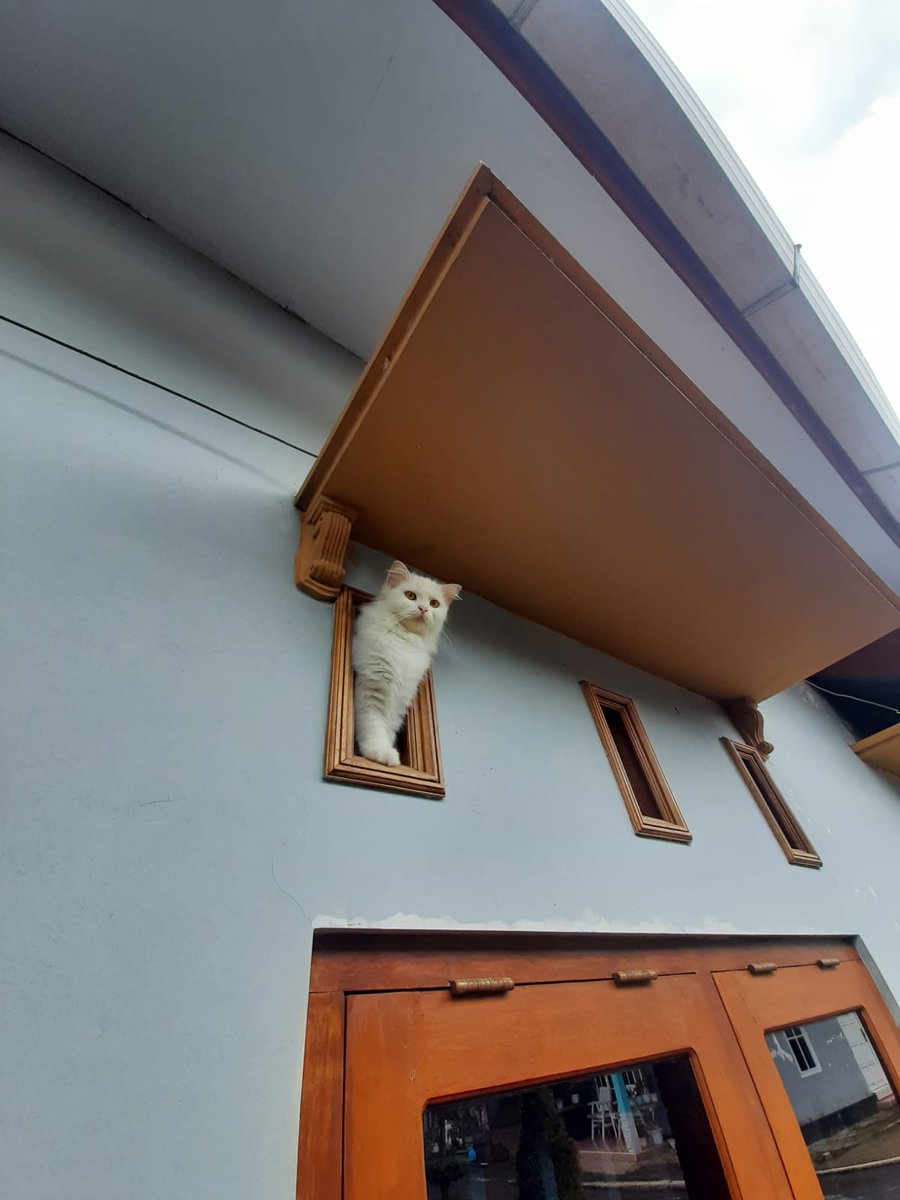 ftryoga's tweet photo. @kochengfs Naik ventilasi itu hobiku 😒 https://t.co/BuHLkqZRsR