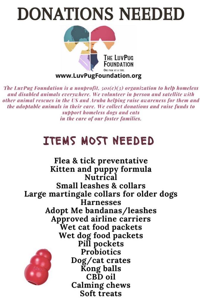 LuvPugFDN tweet picture