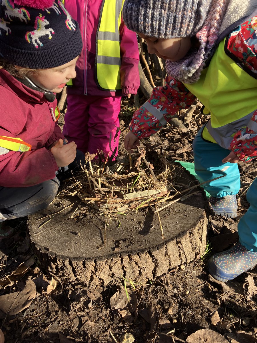 SPFSchools's tweet photo. Our Early Years pupils have been taking full advantage of our beautiful surroundings at #ForestSchool. The children have been #exploring, creating and discovering, and learning to understand and celebrate the world around them.

Find out more: https://t.co/h5dsK90DTd https://t.co/hGXJGlqVV0