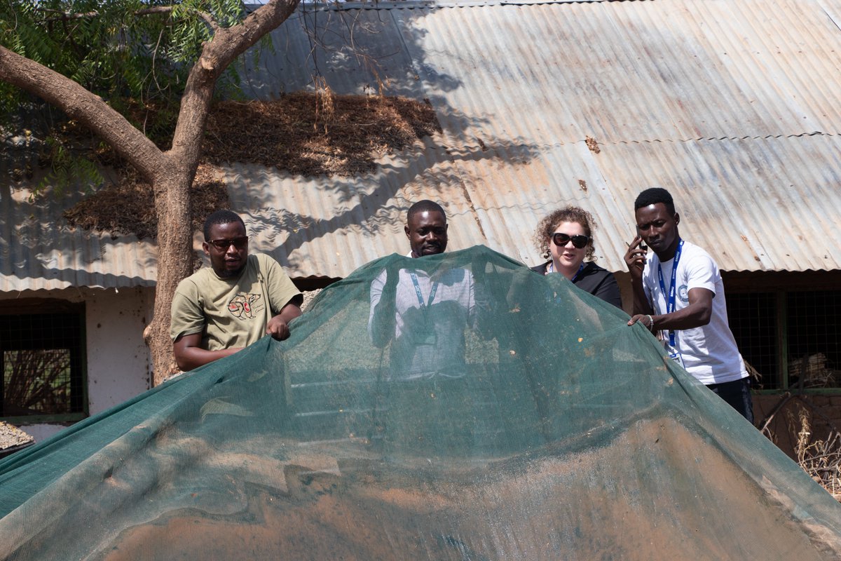 SNHU_GEM's tweet photo. During her trip to Kenya, #GEMatSNHU Exec Dir Rachael Sears did it all: From celebrating graduates in Nairobi and Kakuma, Kenya with our partners @JesuitRefugee to catching up with the students using #agsystems to feed Kakuma camp residents.
Next up: Malawi! https://t.co/VU4bvzzwoA