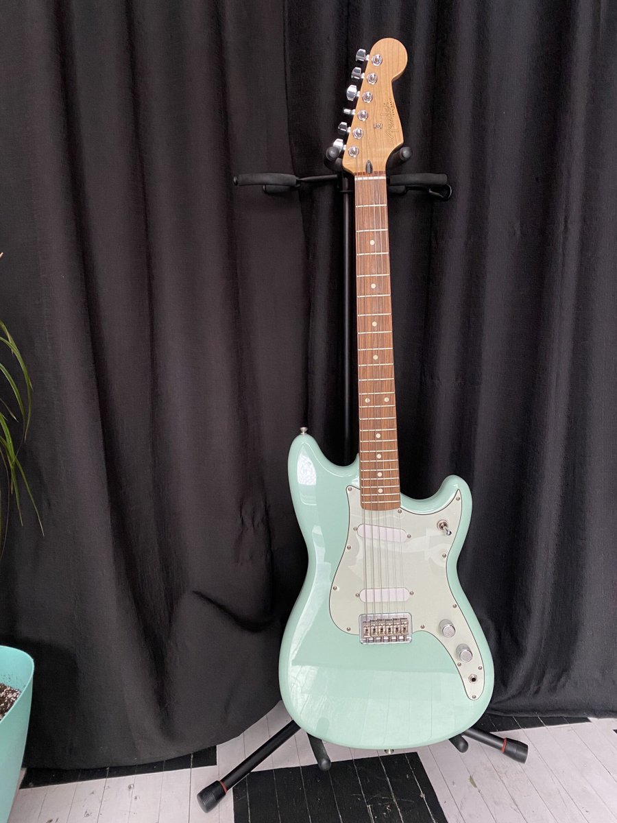 Solo Guitars tweet media